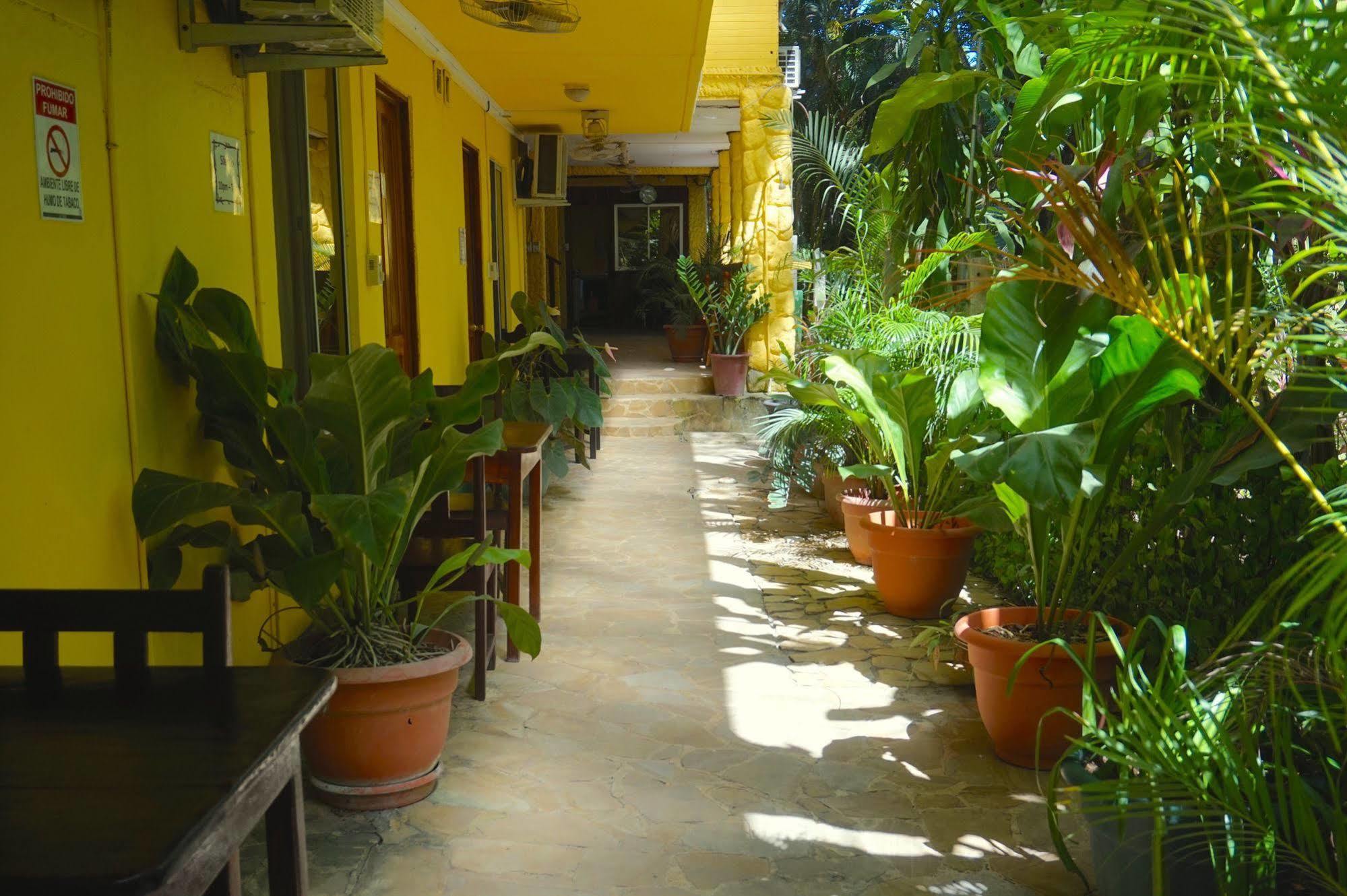 Hotel Aurora Montezuma Eksteriør bilde